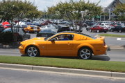 Mustang